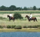 Reiten am Gardasee entlang der Ksten